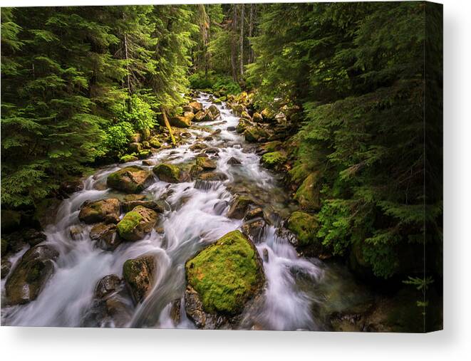 Rain Canvas Print featuring the photograph Rushing River by Serge Skiba