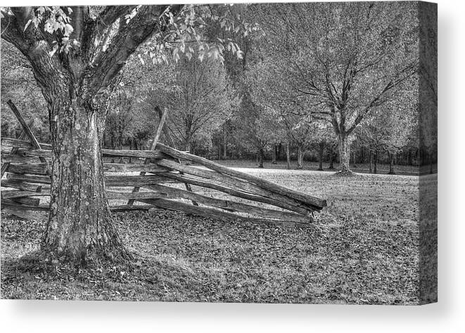 Trees Canvas Print featuring the photograph Rustic by Michael Mazaika