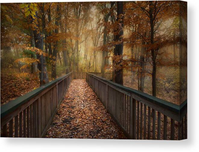 Boardwalk Canvas Print featuring the photograph Rustic Woodland by Robin-Lee Vieira