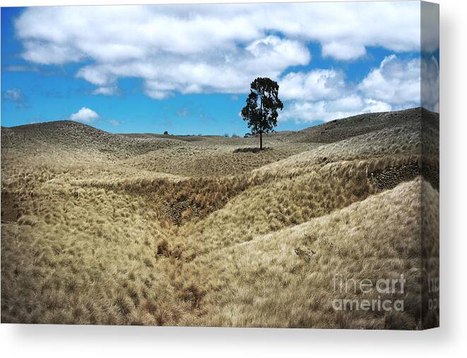 Fields Canvas Print featuring the photograph Saddle Road Dreams Revisited by Ellen Cotton