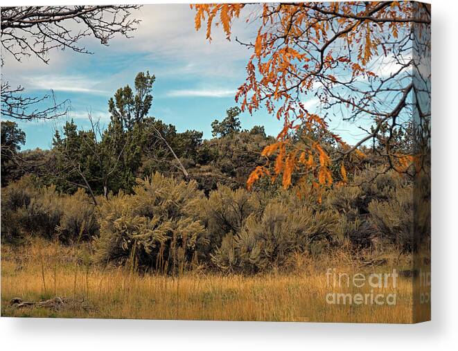 Sagebrush Canvas Print featuring the photograph Sagebrush and Lava by Cindy Murphy - NightVisions