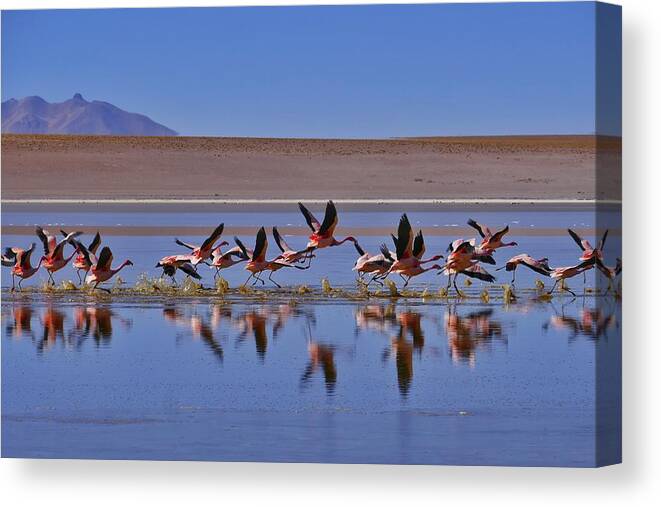 Salar De Uyuni Tour 24 Canvas Print featuring the photograph Salar de Uyuni Tour 24 by Skip Hunt