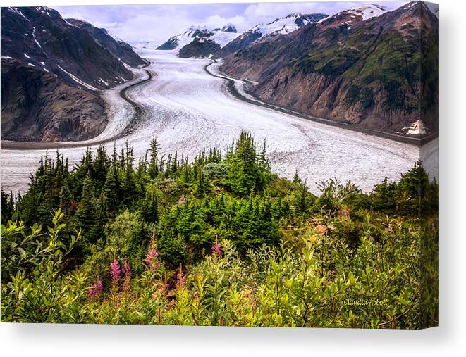 Alaska Canvas Print featuring the photograph Salmon Glacier by Claudia Abbott