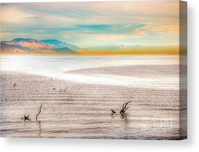 Salton_sea Canvas Print featuring the photograph Salton Sea by Lisa Manifold