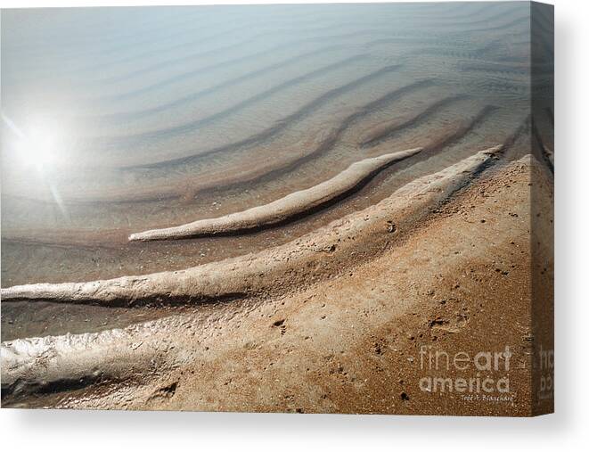 Florida Canvas Print featuring the photograph Sand Art No. 9 by Todd Blanchard