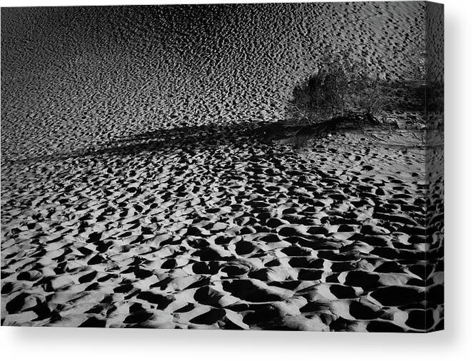 Death Valley Canvas Print featuring the photograph Sand Dune by Catherine Lau