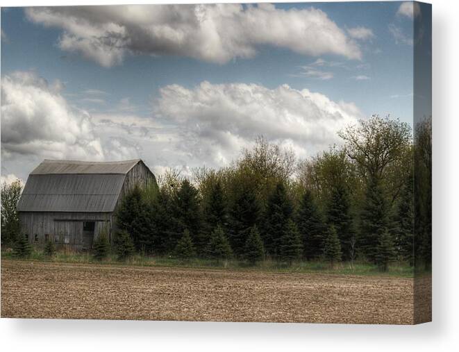 Barn Canvas Print featuring the photograph 0044 - Sandusky Grey in the Pines I by Sheryl L Sutter