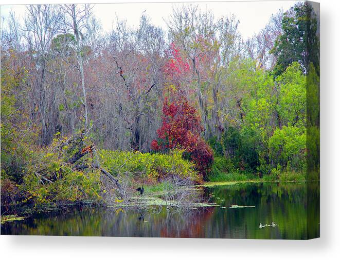 Land Canvas Print featuring the photograph Sarasota Reflections by Madeline Ellis