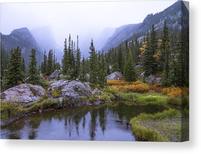 Saturated Forest Nature Forest Wilderness Wild Rocky Mountain National Park Rmnp Colorado American West West Rocky Rockies Mountain Mountains Tree Trees Pine Pines Pond Lake Light Reflection Storm Rain Fall Autumn Season Landscape Waterscape Forestscape Overcast Chad Dutson Saturation Wet Canvas Print featuring the photograph Saturated Forest by Chad Dutson