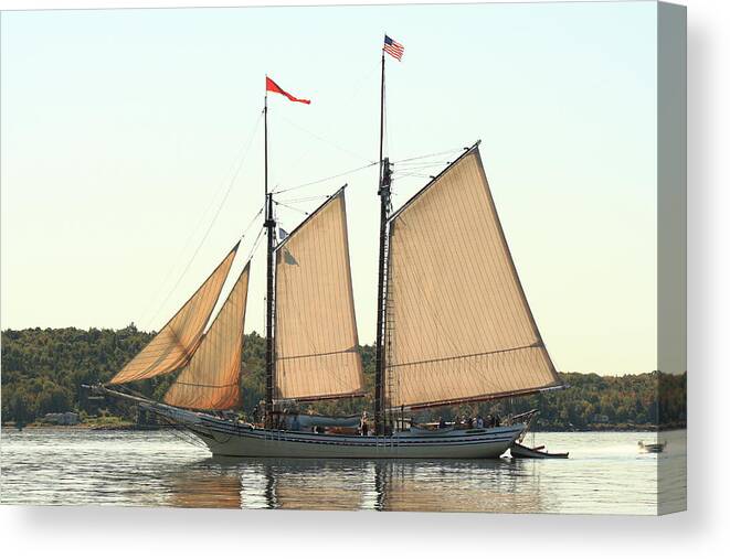 Seascape Canvas Print featuring the photograph Schooner Heritage Leaving Port by Doug Mills
