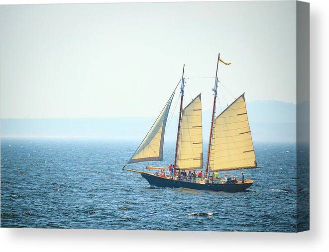 Atlantic Ocean Canvas Print featuring the photograph Schooner Sailing in Kennebunkport by Joni Eskridge