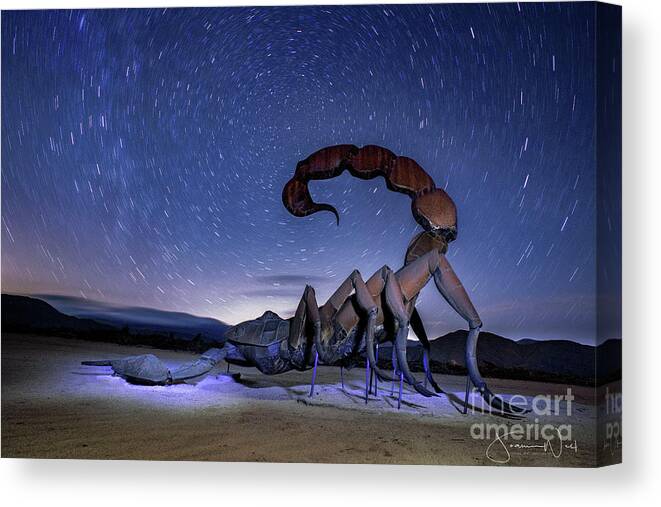 Scorpion Canvas Print featuring the photograph Scorpion and Star Trail Circles by Joanne West