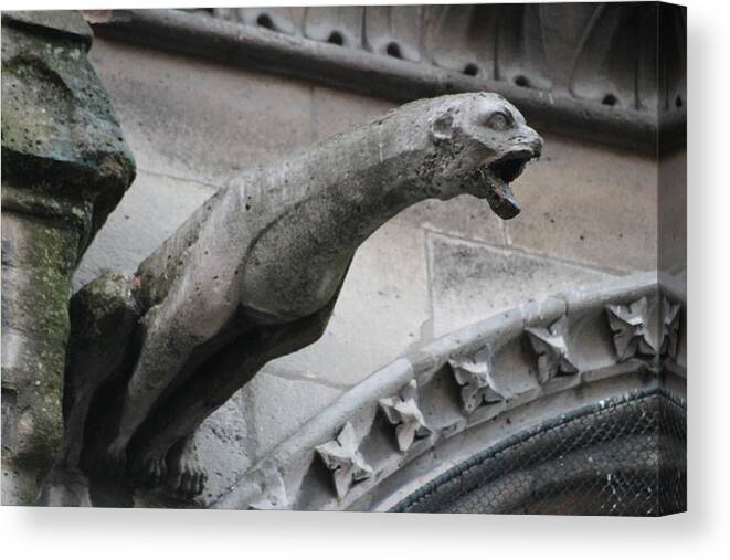 Grotesques Canvas Print featuring the photograph Screaming Griffon Notre Dame Paris by Christopher J Kirby