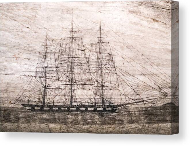 District Of Columbia Canvas Print featuring the photograph Scrimshaw Whale Panbone by SR Green