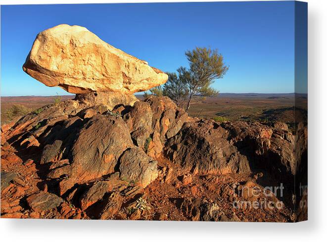 Nsw New South Wales Australia Australian Outback Canvas Print featuring the photograph Sculpture Park Broken Hill by Bill Robinson