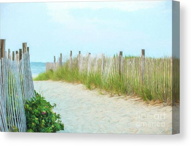 Beach Canvas Print featuring the photograph Sea Gull Beach #1 by Michael James