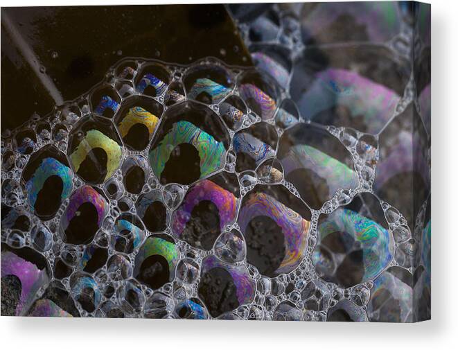 Bubbles Canvas Print featuring the photograph Seafoam on Kelp Frond by Robert Potts