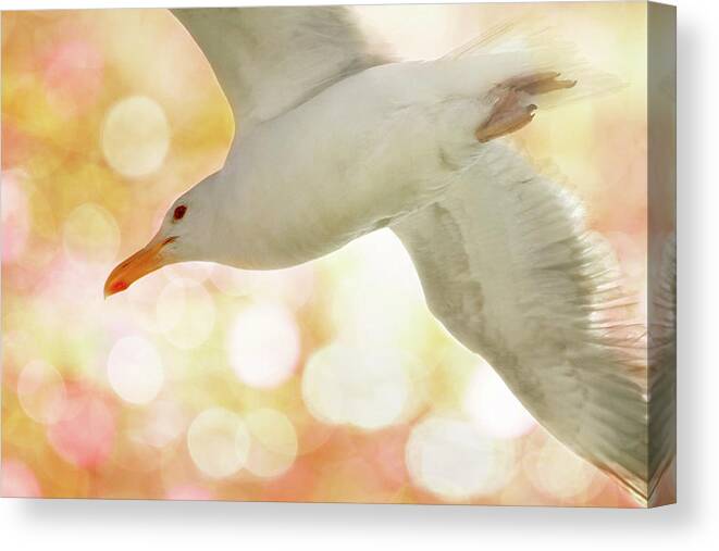 Seagull Canvas Print featuring the photograph Seagull on Pink and Yellow Sky by Peggy Collins