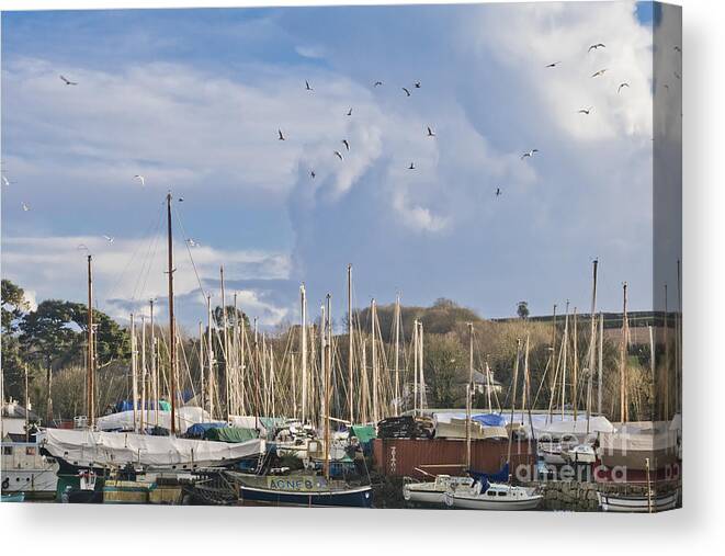 Seagulls Canvas Print featuring the photograph Seagulls Over Mylor Creek Boatyard by Terri Waters
