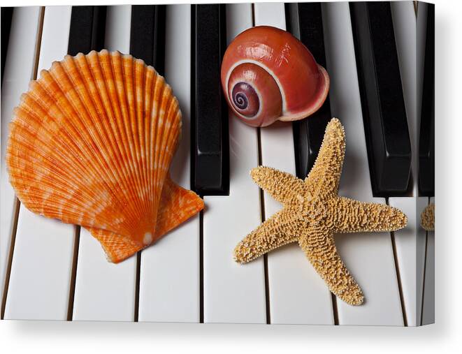 Sea Shell Canvas Print featuring the photograph Seashell and starfish on piano by Garry Gay