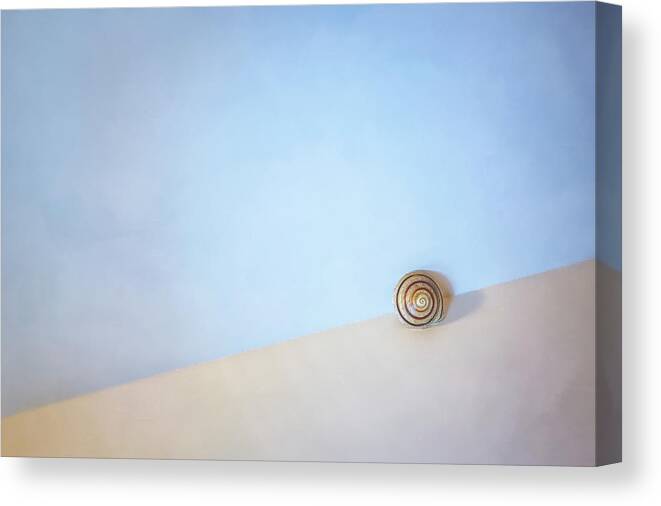 Seashell Canvas Print featuring the photograph Seashell by the Seashore by Scott Norris