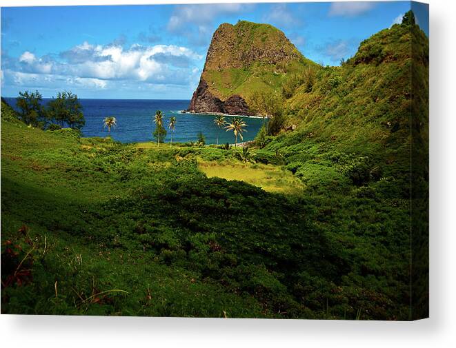 Ocean Canvas Print featuring the photograph Secret Cove by Harry Spitz