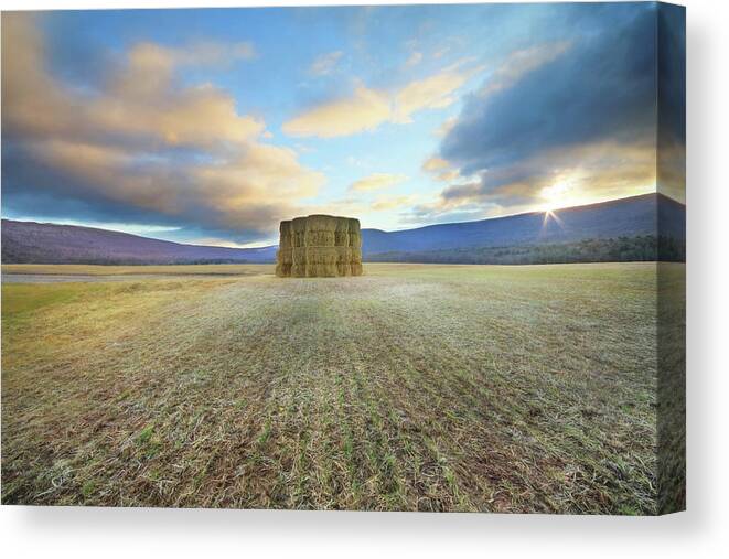 Farming Canvas Print featuring the photograph See the Beauty by Lori Deiter