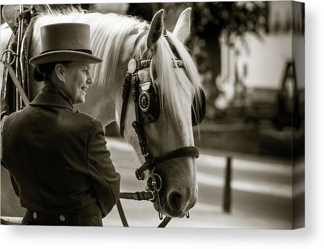 Animals Canvas Print featuring the photograph Sepia Carriage Horse with Handler by Dennis Dame