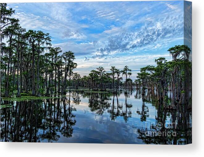 Landscapes Canvas Print featuring the photograph Serenity by DB Hayes