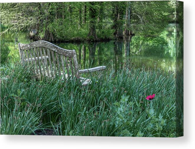  Landscape Canvas Print featuring the photograph Serenity by Jaime Mercado