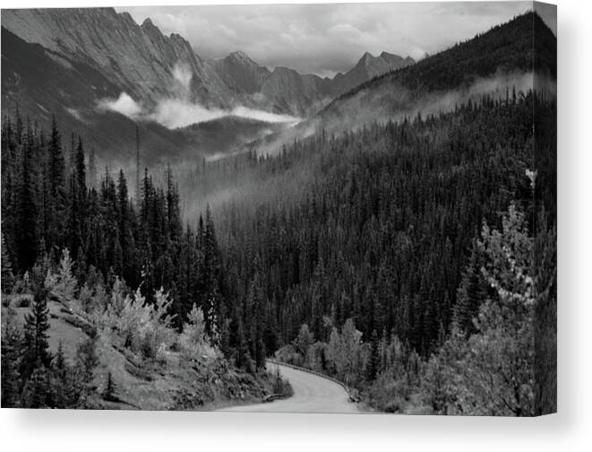 Landscape Canvas Print featuring the photograph Serenity Road by Joe Burns