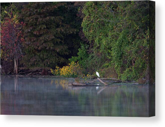 Ronnie Maum Canvas Print featuring the photograph Serenity by Ronnie Maum