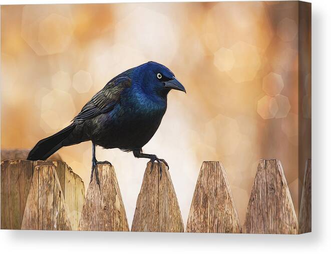 Bird Canvas Print featuring the photograph Seriously by Cathy Kovarik