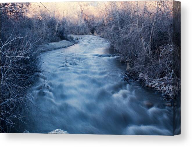 Trees Canvas Print featuring the photograph Shadowed Creek by K Bradley Washburn