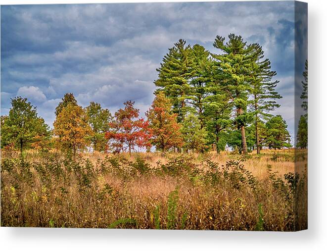 Midwest Canvas Print featuring the photograph Shaw Nature Reserve 7R2_DSC2560_10242017 by Greg Kluempers