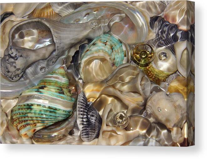 Shells Canvas Print featuring the photograph Shell Fluidity by Leda Robertson