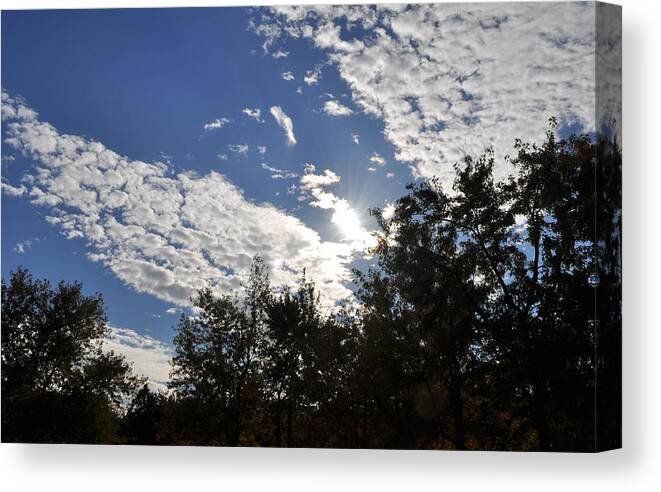 Sunny Sky Canvas Print featuring the photograph Shine and Smile by Georgeta Blanaru