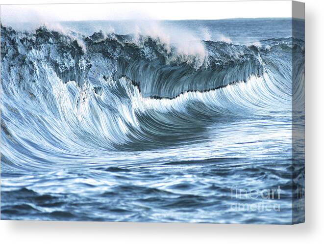 Aqua Canvas Print featuring the photograph Shiny Wave by Vince Cavataio - Printscapes