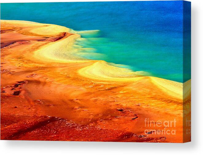 Grand Prismatic Canvas Print featuring the photograph Shores Of Algae by Adam Jewell