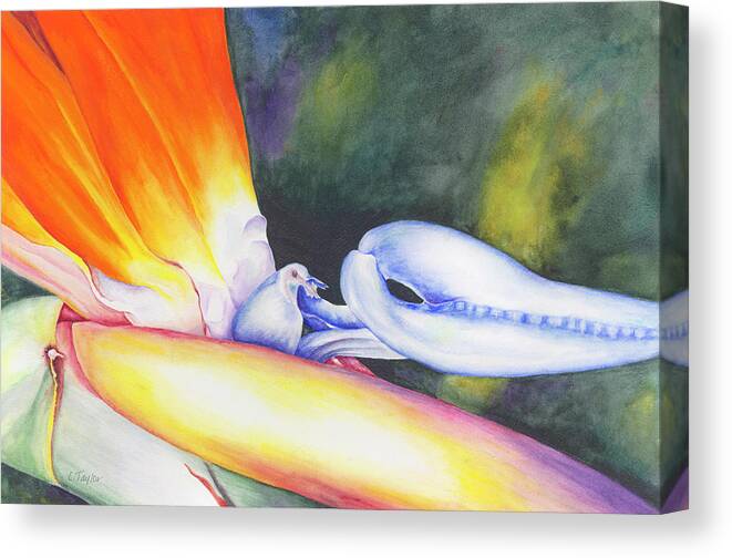 Bird Of Paradise Canvas Print featuring the painting Show Off by Lori Taylor