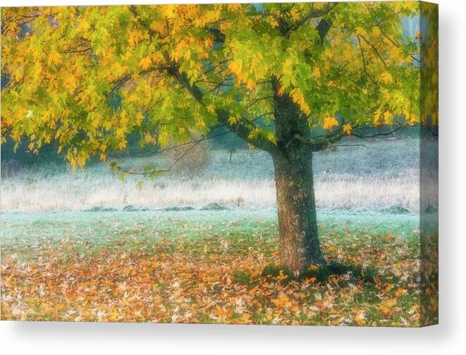 Vermont Canvas Print featuring the photograph Showing off by Usha Peddamatham