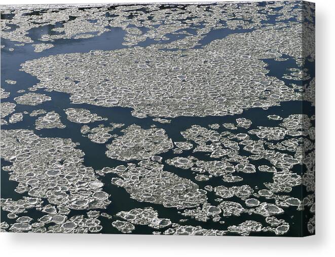 Nature Canvas Print featuring the photograph Signs of Winter by Rhonda McDougall