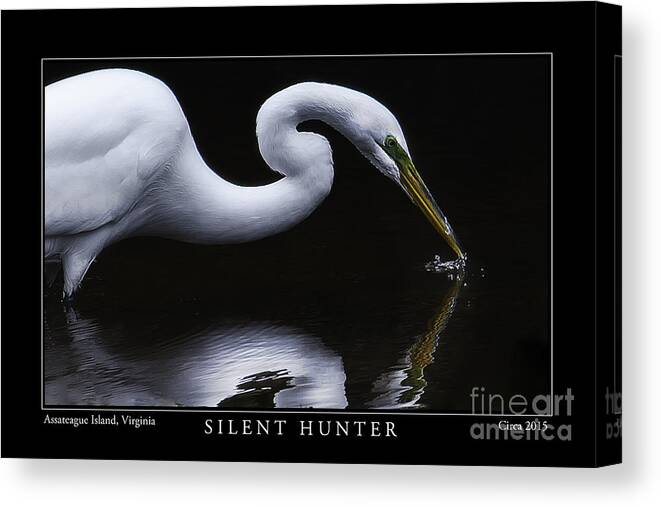 Egret Canvas Print featuring the photograph Silent Hunter by Gene Bleile Photography 