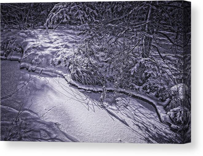 Winterscapes Canvas Print featuring the photograph Silver Brook in Winter by Gary Shepard