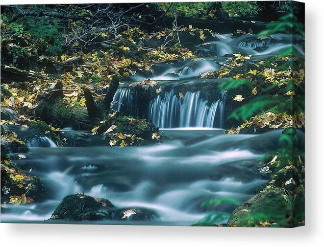 Creek Canvas Print featuring the photograph Silver Creek by DArcy Evans