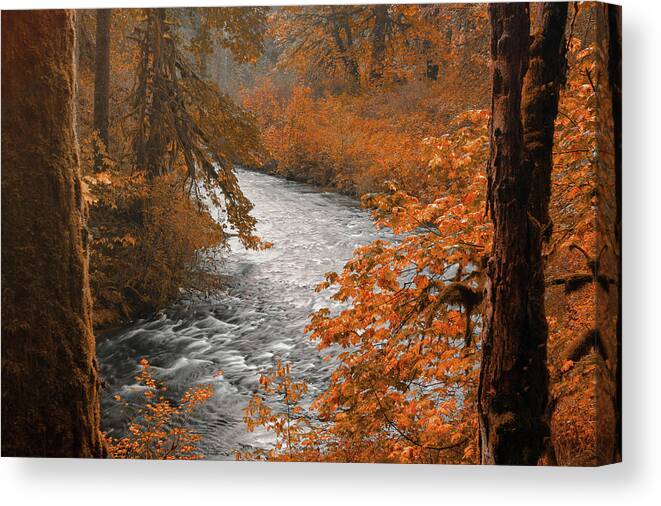 Water Canvas Print featuring the photograph Silver Creek by Don Schwartz