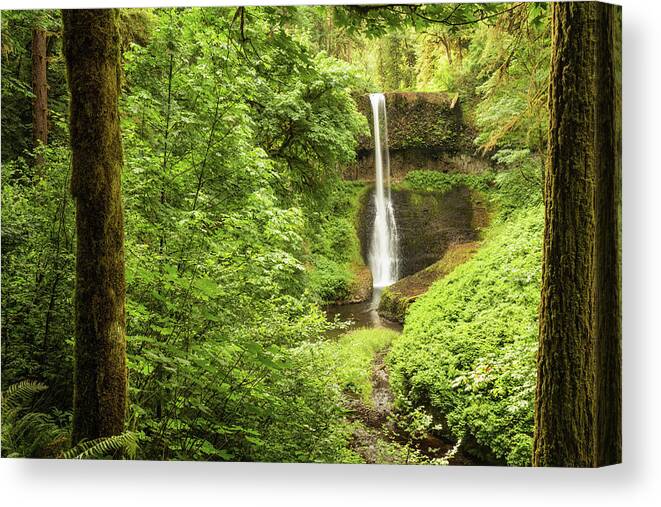 Silver Creek Falls Canvas Print featuring the photograph Silver Falls Through the Trees by Mary Jo Allen