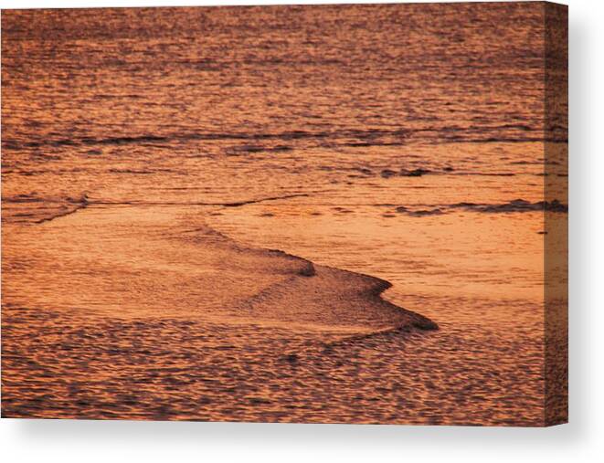Simple Canvas Print featuring the photograph Simplicity - 2 by Hany J