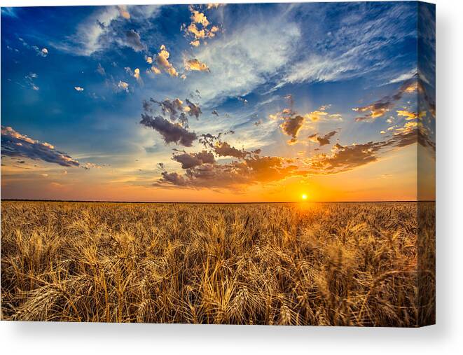 Wheat Canvas Print featuring the photograph Simplicity by Thomas Zimmerman