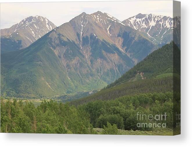 Nature Canvas Print featuring the photograph Simply Colorado 2 by Tonya Hance